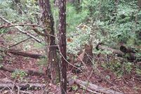 Recreational Property for sale in Clarke County, Alabama