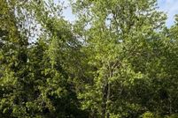 Hunting Property for sale in Somerset County, Maryland