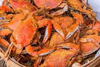 Land for sale in Somerset County, Maryland