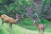 Land for sale in Bedford County, Pennsylvania