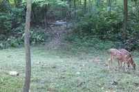 Land for sale in Washington County, Maryland