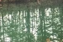 Land for sale in Burlington County, New Jersey