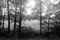 Undeveloped Land for sale in Allegany County, Maryland