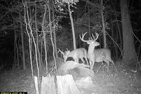 Land for sale in Avoyelles Parish, Louisiana