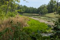 Land for sale in Calvert County, Maryland