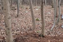 Farm and Ranch for sale in Carbon County, Pennsylvania