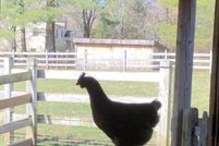 Land for sale in Bucks County, Pennsylvania