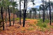 Land for sale in Salem County, New Jersey