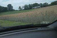 Land for sale in Prince Georges County, Maryland