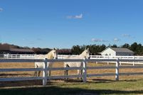Farm and Ranch for sale in Sussex County, Delaware
