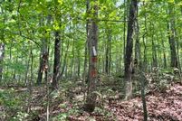 Undeveloped Land for sale in Page County, Virginia