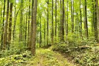 Land for sale in Albemarle County, Virginia