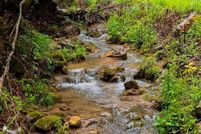 Hunting Property for sale in Hardy County, West Virginia