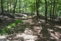 Undeveloped Land for sale in Frederick County, Virginia