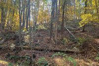 Land for sale in Shenandoah County, Virginia