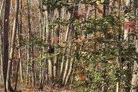 Land for sale in Fauquier County, Virginia