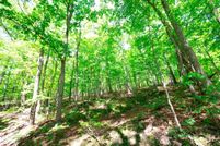 Land for sale in Frederick County, Virginia
