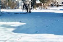 Farm and Ranch for sale in Winchester City County, Virginia