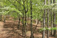 Land for sale in Morgan County, West Virginia