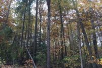 Land for sale in Caroline County, Virginia