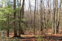 Recreational Property for sale in Hardy County, West Virginia