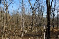 Land for sale in Frederick County, Virginia