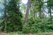 Land for sale in Caroline County, Virginia