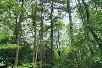 Undeveloped Land for sale in Garrett County, Maryland