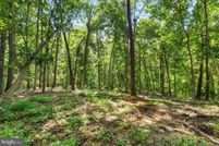 Land for sale in Berkeley County, West Virginia