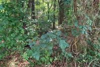 Land for sale in Westmoreland County, Virginia