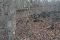 Undeveloped Land for sale in Warren County, Virginia