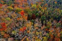 Undeveloped Land for sale in Prince Georges County, Maryland