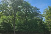 Undeveloped Land for sale in Garrett County, Maryland