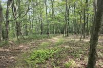 House for sale in Hardy County, West Virginia