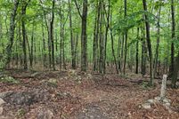 Land for sale in Morgan County, West Virginia