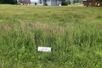 Undeveloped Land for sale in Tucker County, West Virginia