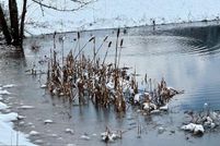 Land for sale in Hampshire County, West Virginia