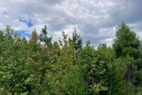 Land for sale in Westmoreland County, Virginia