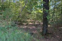 Land for sale in Caroline County, Virginia