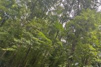 Land for sale in Madison County, Virginia