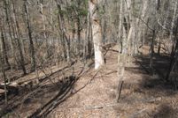 Land for sale in Shenandoah County, Virginia