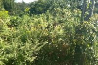 Land for sale in Gloucester County, New Jersey