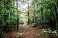 Undeveloped Land for sale in Taliaferro County, Georgia