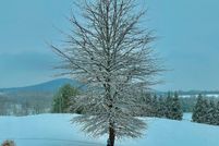 Commercial Property for sale in Shenandoah County, Virginia