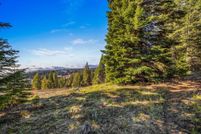 Undeveloped Land for sale in Valley County, Idaho