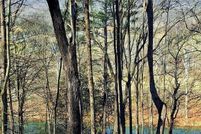 Undeveloped Land for sale in  , Virginia