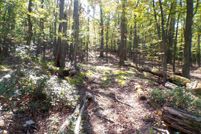 Land for sale in Hampshire County, West Virginia