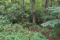 Land for sale in Orange County, Virginia