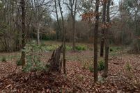 Land for sale in Cherokee County, Texas