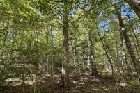 Undeveloped Land for sale in Sequatchie County, Tennessee